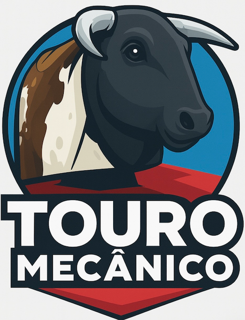 Touro Mecanico | Mechanical Bull | + de 10 anos de experiência